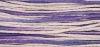 WDW 2301 CF-R Lavender