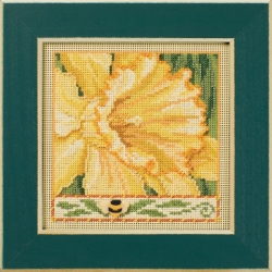 MH 14-2411-Daffodil