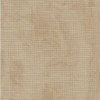Tiny Modernist-2026 Not So Scary Apothecary SAL-32ct.Belfast-Vintage Country Mocha (DMC 3864) (F6)