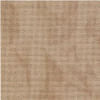 Tiny Modernist-2026 Not So Scary Apothecary SAL-25ct.Lugana-Vintage Country Mocha (DMC 3864) (FQ)