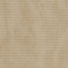 Tiny Modernist-2026 Not So Scary Apothecary SAL-16ct.AIDA-Vintage Country Mocha (DMC 3864) (F6)