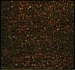 CC Antica-AT06-Bronze