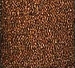 CC Antica-AT08-Copper